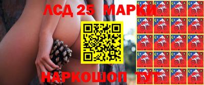 индика Волжский