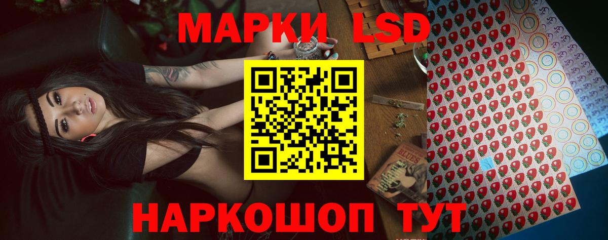 Лсд 25 экстази ecstasy  Лсд 25 экстази кислота  Вход с VPN  Ноябрьск 