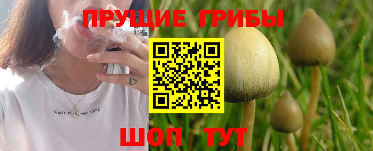 Галлюциногенные грибы MAGIC MUSHROOMS Ноябрьск